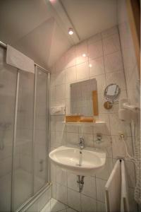 y baño con lavabo y ducha. en Forst´s Landhaus en Riedenburg