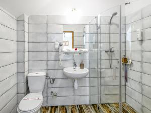 a bathroom with a toilet and a sink at Pensjonat Dworek Polski in Chojno