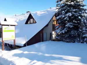 a building covered in snow next to a tree at Haus Oberwiesenthal in Kurort Oberwiesenthal