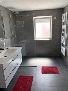baño con lavabo, ducha y ventana en Hotel Barth, en Kaiserslautern