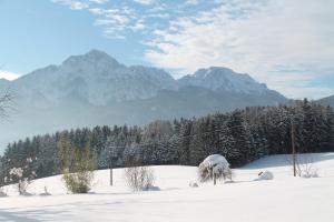 un campo cubierto de nieve con montañas al fondo en Hainbuchhof, en Anger