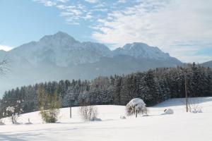 ein schneebedecktes Feld mit Bergen im Hintergrund in der Unterkunft Hainbuchhof in Anger