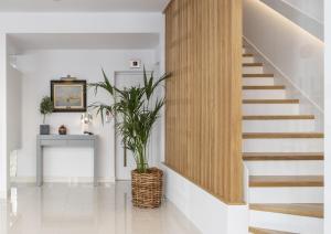 比雷埃夫斯Gallery Suites & Residences Piraeus的相册照片