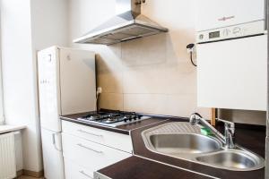 Kuchyňa alebo kuchynka v ubytovaní Apartament Brązowy Narutowicza 11 + 4 fotografie