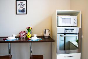Kuchyňa alebo kuchynka v ubytovaní Apartament Brązowy Narutowicza 11