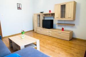 a living room with a couch and a tv at Apartament Brązowy Narutowicza 11 in Lublin
