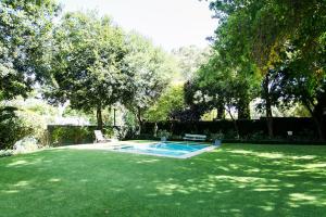 a yard with a small swimming pool in the grass at Burkleigh House in Johannesburg