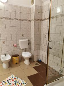 a bathroom with a toilet and a shower stall at PENSIUNEA HORA in Braşov +30 photos