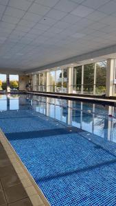 a large swimming pool with blue tiles in a building at Sporting Lodge Inn Middlesbrough in Middlesbrough