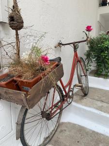 a red bike with flowers in a wooden basket at Casa Tramonto in Alliste