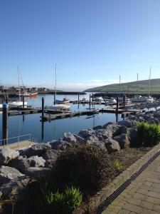 Gallery image of Murphy's Pub and Bed & Breakfast in Dingle