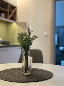 Gallery image of Vip House 2 in Vrnjačka Banja