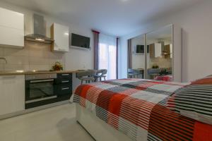 Kuchyň nebo kuchyňský kout v ubytování DOMINO studio