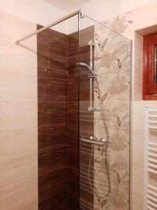 y baño con ducha y puerta de cristal. en Éva Vendégház en Tata
