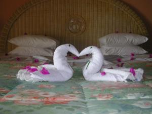 Katil atau katil-katil dalam bilik di Coco Reef Resort & Spa