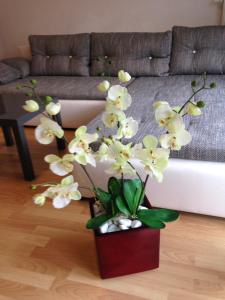 un jarrón con flores blancas en la sala de estar en Ferienwohnung Michelle, en Rust