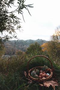 un panier d'œufs assis sur un rocher dans l'herbe dans l'établissement La Tenuta - Resort Agricolo, à Casaprota