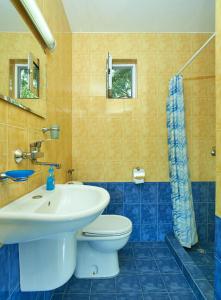 Un baño con un lavabo blanco y un inodoro. en BulgariaVilla - Green Life Villas, en Bryastovets