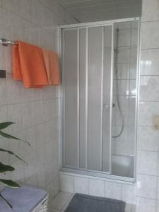 a shower with a glass door in a bathroom at Ferienwohnung Stöberl Gerda in Lohberg