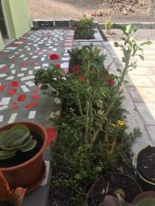 Aed väljaspool majutusasutust Casa helena