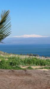 Fotografie z fotogalerie ubytování Kinneret View v destinaci Kineret