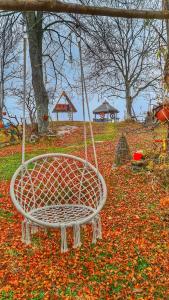 a swing in a park with leaves on the ground at Etno domacinstvo Saponjic in Nova Varoš