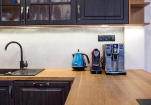 a kitchen counter with a blue kettle and a coffee maker at Draslovanka in Bedřichov