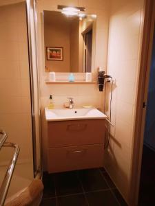 La salle de bains est pourvue d'un lavabo et d'un miroir. dans l'établissement Studio "Chez Alain" avec garage sécurisé et clim, à Chamalières