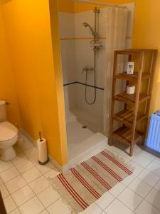 un bagno con doccia e WC di FONT NOUVELLE maison de charme Drôme Provençale, 6 ou 10 personnes avec piscine a Plaisians Altre 34 foto