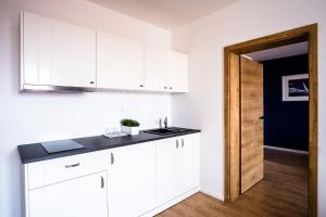 A kitchen or kitchenette at Villa La Via ***