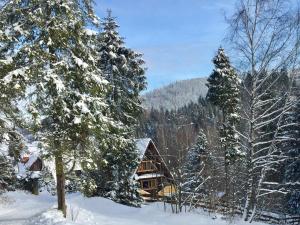 domek w lesie z pokrytymi śniegiem drzewami w obiekcie Winterfell Korbielów - dom z basenem sezonowym lipiec-sierpień w Korbielowie
