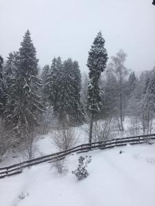 Obiekt Winterfell Korbielów - dom z basenem sezonowym lipiec-sierpień zimą