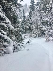Obiekt Winterfell Korbielów - dom z basenem sezonowym lipiec-sierpień zimą