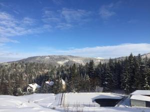 Obiekt Winterfell Korbielów - dom z basenem sezonowym lipiec-sierpień zimą