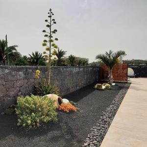 Zahrada ubytování Casa volcanes