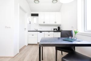 Kuchyň nebo kuchyňský kout v ubytování Hvammból Guesthouse
