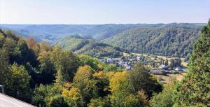 a town in the middle of a valley with trees at Terra Zen in Rochehaut