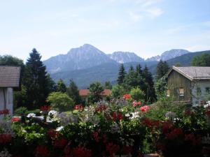 a garden of flowers with mountains in the background at Haus Tschakert in Anger