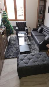 Uma área de estar em Zlatar Apartman br 16