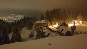 Zlatar Apartman br 16 durante o inverno