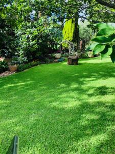 a yard with a green lawn with a tree at Vaal Marina Guest House 655 Leervis in Vaal Marina