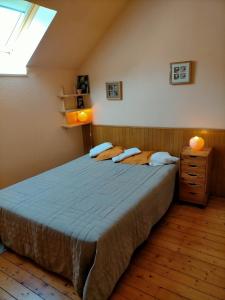 een slaapkamer met een groot bed en een dakraam bij Les Basses Besmes in Parcé