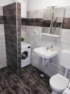 a bathroom with a toilet and a sink and a washing machine at Apartment Rota in Zadar