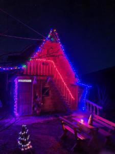 Mynd úr myndasafni af Log cabin Uvac (Vikendica Saponjic) í Nova Varoš