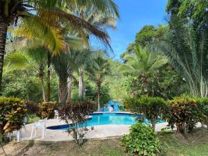 Πισίνα στο ή κοντά στο Finca Kenya