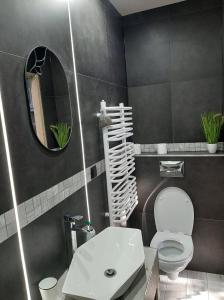 希維拉杜夫茲德魯伊的住宿－Górski Raj，浴室设有白色的卫生间和镜子