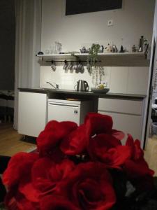 羅伊特林根的住宿－Apartment am Apfelbaum，一间房间,在地板上设有一间红色玫瑰的厨房