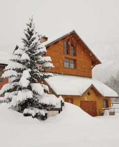 a snow covered pine tree in front of a house at Chalet Rivière, 5 en-suite. in La Salle Les Alpes