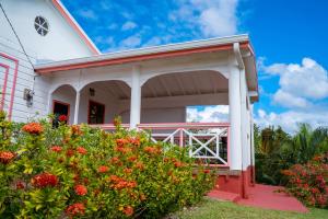 O grădină în afara Sunny Palm Villas
