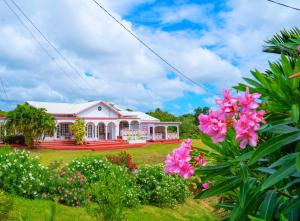 O grădină în afara Sunny Palm Villas